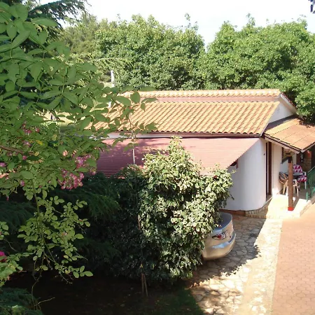 Ojdana Тар