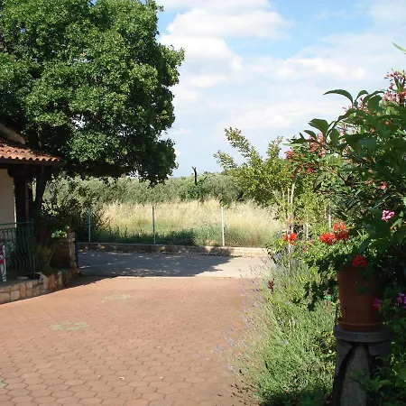 Ojdana Apartment