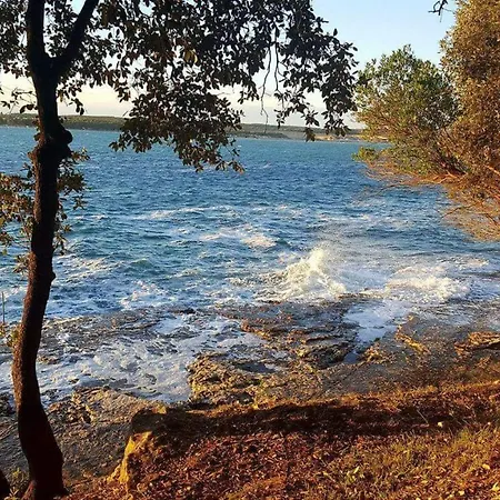 Ojdana