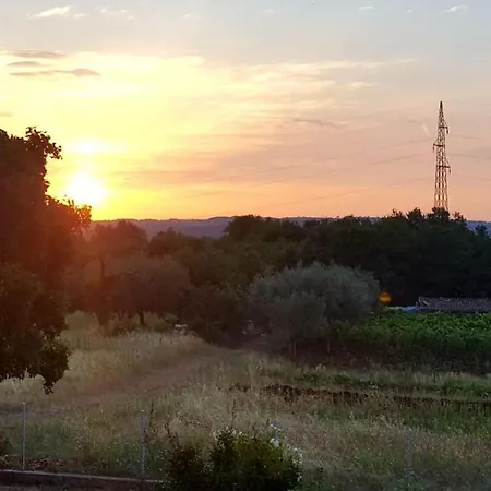 Ojdana *