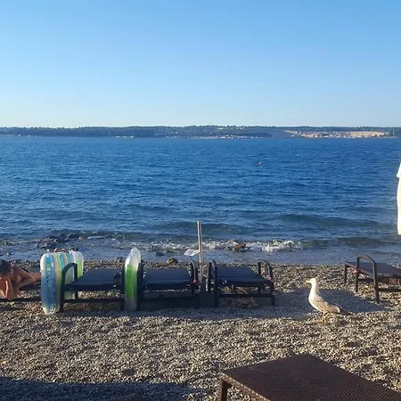 Ojdana *