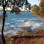 Ojdana