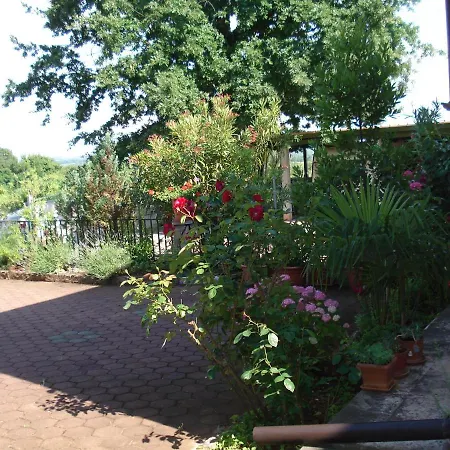 Apartament Ojdana *